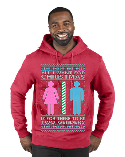 All I Want For Christmas Is For There To Be Two Genders Ugly Christmas Sweater Premium Graphic Hoodie Sweatshirt
