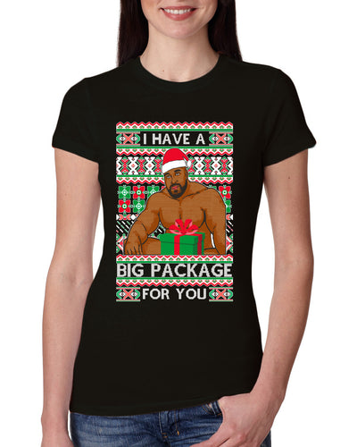 I have a Big package Meme Barry Wood  Ugly Christmas Sweater Womens Slim Fit Junior Tee