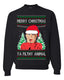 Kevin Merry Christmas Ya Filthy Animal Ugly Christmas Sweater Unisex Crewneck Graphic Sweatshirt
