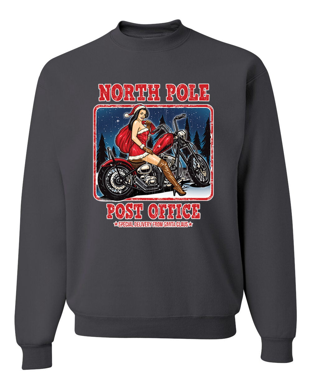North Pole Post Office Special Delivery  Merry Christmas Unisex Crewneck Graphic Sweatshirt