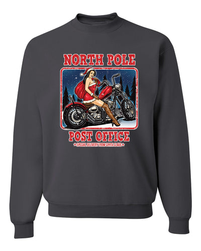 North Pole Post Office Special Delivery  Merry Christmas Unisex Crewneck Graphic Sweatshirt