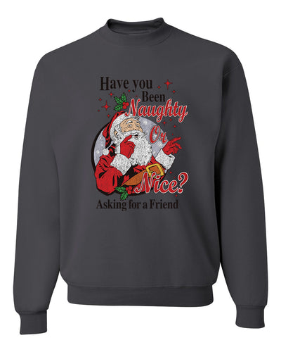 Have You Been Naughty or Nice?  Merry Christmas Unisex Crewneck Graphic Sweatshirt