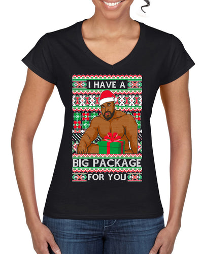 I have a Big package Meme Barry Wood  Ugly Christmas Sweater Women’s Standard V-Neck Tee
